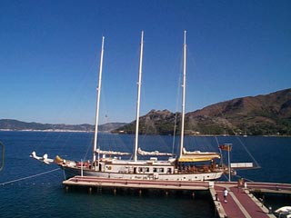 DCP02959