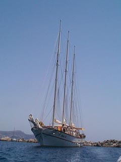 DCP03181